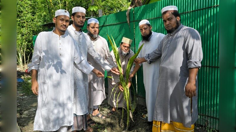 এতিম শিক্ষার্থীদের সঙ্গে মধ্যাহ্নভোজ, বৃক্ষরোপণ ও চারা বিতরণ করলেন মাওলানা শাহ আলম